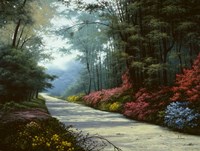 Garden Path Fine Art Print