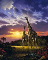 Mother & Calf Fine Art Print