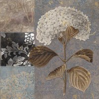 Cocoa & Blue II Fine Art Print