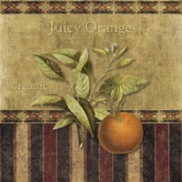 Fresh Fruit II Fine Art Print