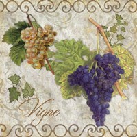 Pastoral Fruits II Fine Art Print