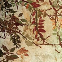 Transition I Fine Art Print