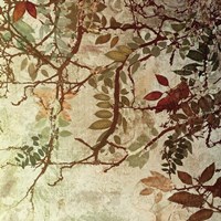 Transition II Fine Art Print