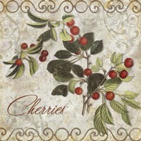 Pastoral Fruits III Framed Print