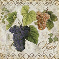 Pastoral Fruits IV Fine Art Print