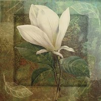 Indian Summer II Fine Art Print