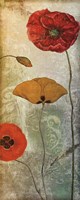 Dancing Poppies I Fine Art Print