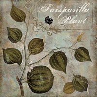 Flavor Blossoms I Fine Art Print