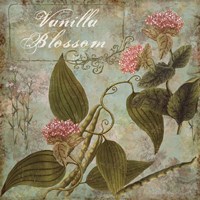 Flavor Blossoms II Fine Art Print