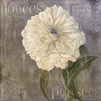 Douces Pensees Fine Art Print
