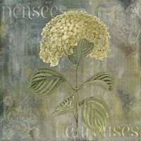 Pensees Heureuses Fine Art Print