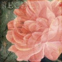 Coleurs Peche Fine Art Print