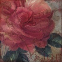 Coleurs Rouge Fine Art Print