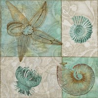 Sea Life I Fine Art Print