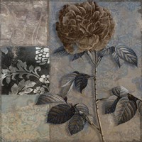 Cocoa & Blue IV Fine Art Print