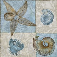 Sea Life V Fine Art Print