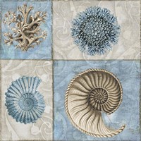 Sea Life VI Fine Art Print