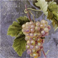 Violette II Fine Art Print