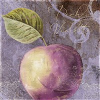 Violette III Fine Art Print