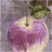 Violette IV Fine Art Print
