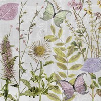 Botanique II Fine Art Print