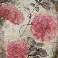 Blush II Fine Art Print