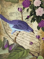 Petals and Wings II Fine Art Print