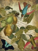 Petals and Wings III Fine Art Print