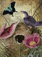 Petals and Wings IV Framed Print