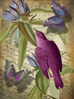 Petals and Wings VI Fine Art Print