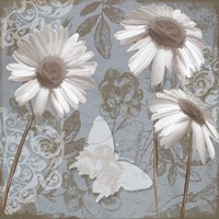 Daisy Recital II Fine Art Print