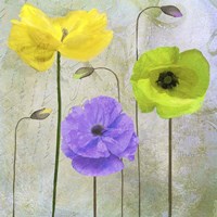 Garden Shimmer II Fine Art Print