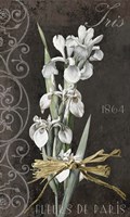 Fleurs de Paris II Fine Art Print