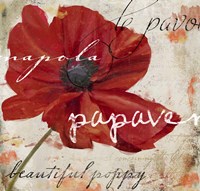 Le Pavot I Fine Art Print
