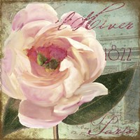 Saisons II Fine Art Print