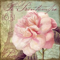 Saisons IV Fine Art Print