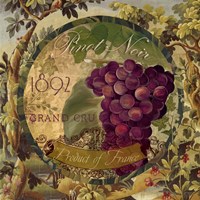 Wines of France II Fine Art Print