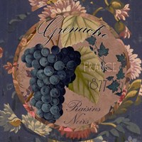Wines of France IV Fine Art Print