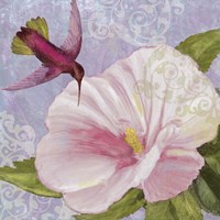 Humming Hibiscus II Fine Art Print