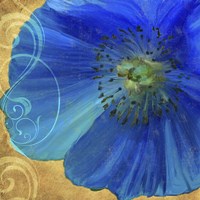 Poppy Blues I Fine Art Print