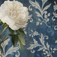 Anastasia I Fine Art Print