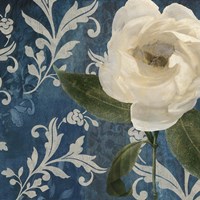 Anastasia II Fine Art Print