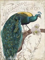 Les Paons II Fine Art Print