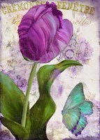 Parrot Tulips II Fine Art Print