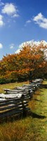 Fence in a Park, Blue Ridge Parkway, Virginia Fine Art Print