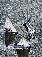 Sailboats in Swan NYYC Invitational Regatta, Newport, Rhode Island Fine Art Print