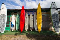 Surfboards Leaning Against Beach Shack, Hawaii Fine Art Print