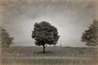 Tree with Rape Field in Springtime Fine Art Print