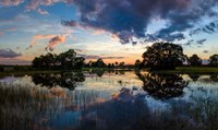 Small Pond at Sunset, Venice, Florida Fine Art Print