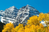 Trees with Mountain Range in the Background, Maroon Creek Valley, Aspen, Colorado Fine Art Print